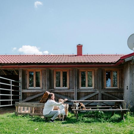 Ubytování na Ranči pod Lovošem Velemin Exteriér fotografie