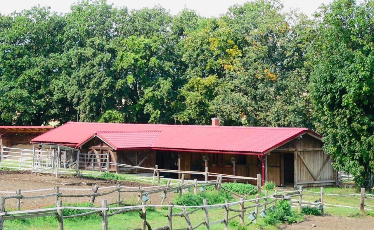 Ubytování na Ranči pod Lovošem Velemin Exteriér fotografie