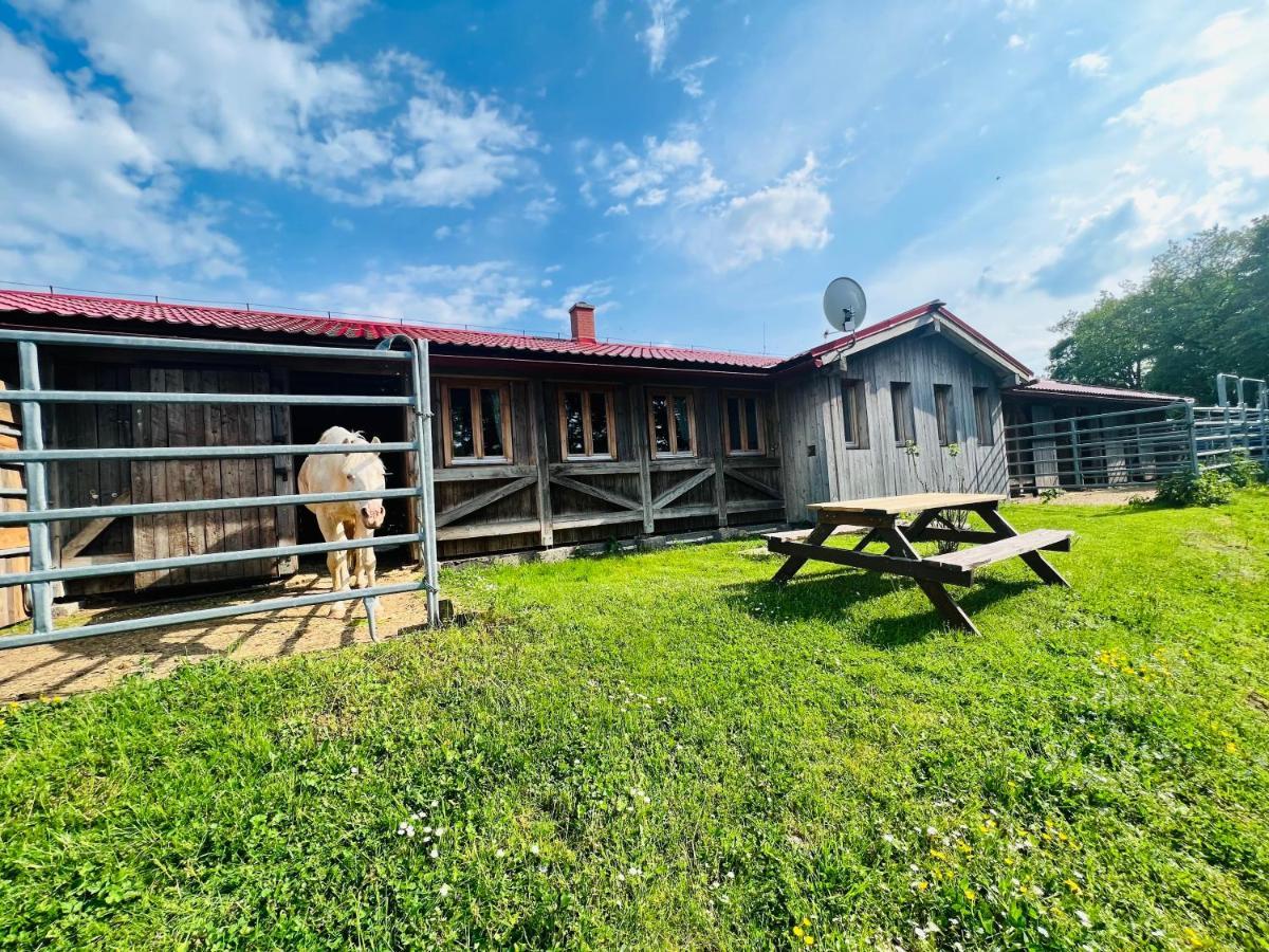 Ubytování na Ranči pod Lovošem Velemin Exteriér fotografie