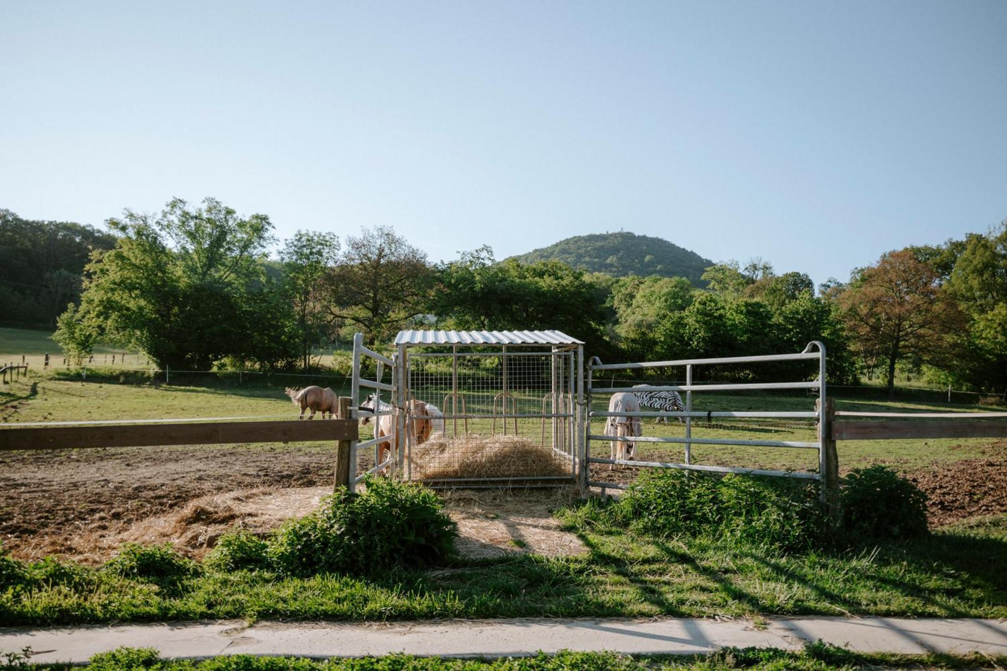 Ubytování na Ranči pod Lovošem Velemin Exteriér fotografie
